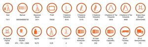 Saraylı 3x11 A Tipi Sürgülü Merdiven 9,03 Metre