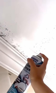 Vodaseal Anti Küf Yalıtım Boyası Sprey 500 ml