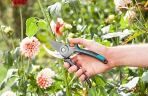 Gardena 8904-20 Bahçe Makası